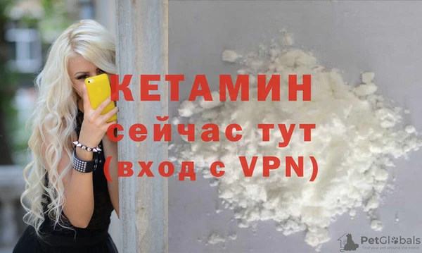 эйфоретик Заполярный