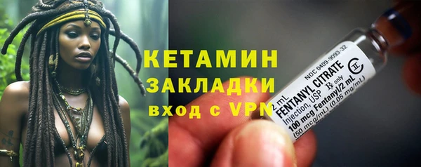 гидра Заречный