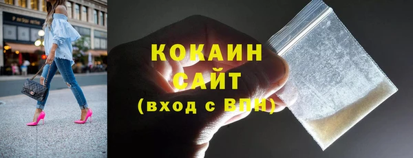 гидра Заречный