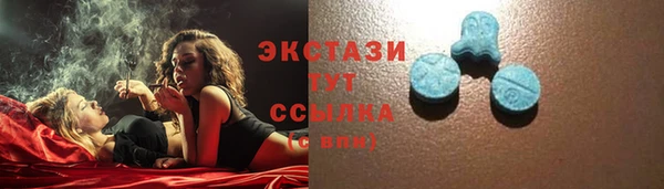 гидра Заречный