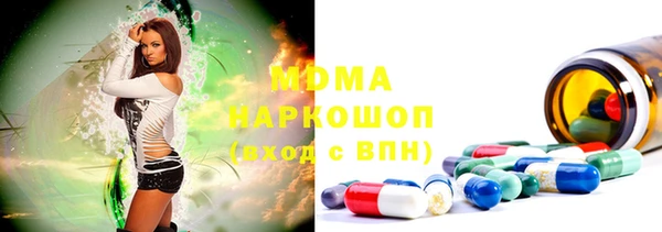 ГАЛЛЮЦИНОГЕННЫЕ ГРИБЫ Дмитриев