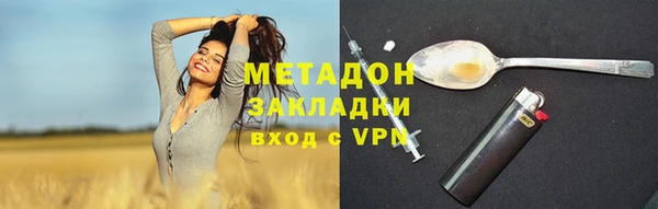 ГАЛЛЮЦИНОГЕННЫЕ ГРИБЫ Дмитриев