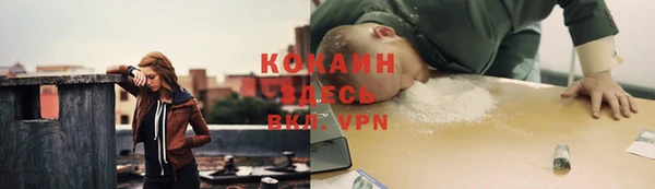 apvp Дмитровск