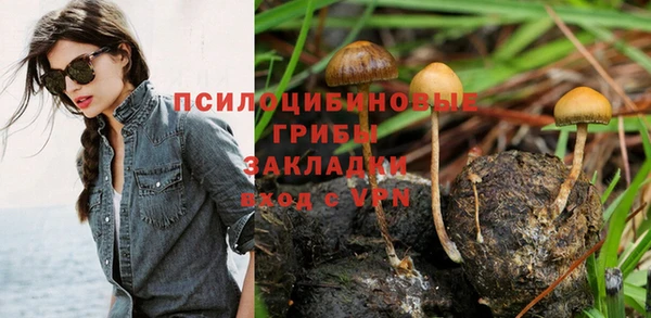 кокс Дмитров