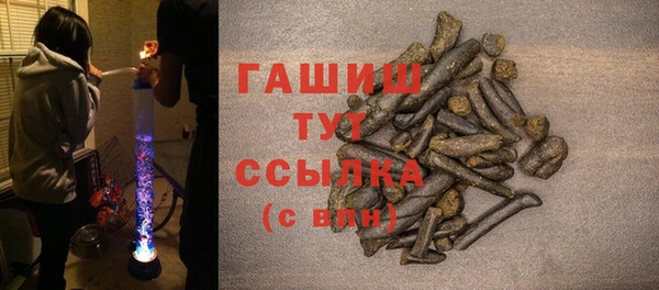 ГАЛЛЮЦИНОГЕННЫЕ ГРИБЫ Дмитриев