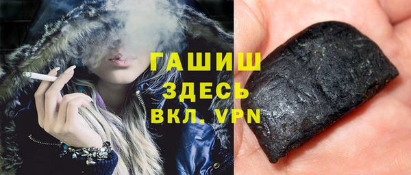 ГАЛЛЮЦИНОГЕННЫЕ ГРИБЫ Дмитриев