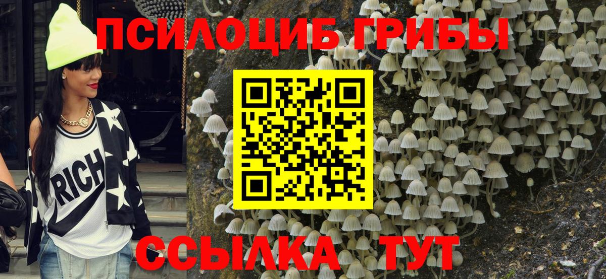 Донской  Галлюциногенные грибы прущие грибы  Вход с VPN 
